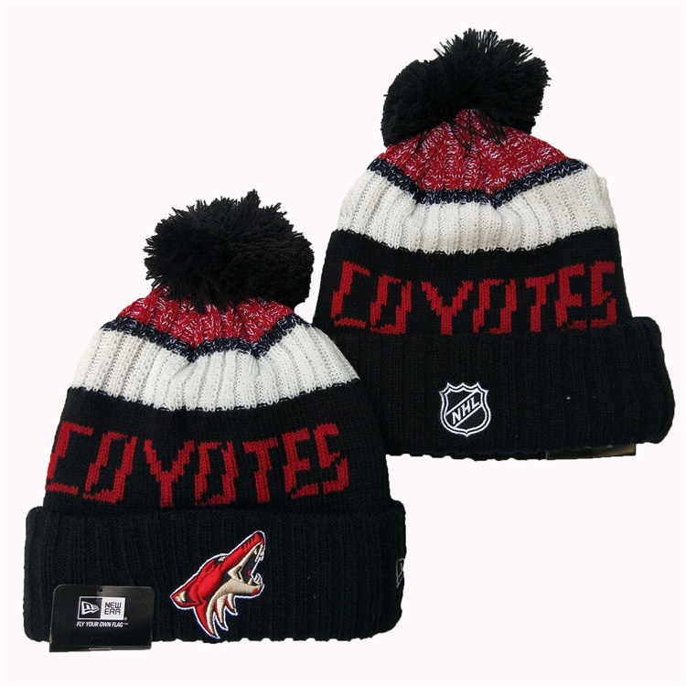 Arizona Coyotes 2025 Knit Hats 001